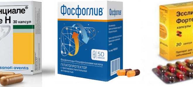 Недорогие эффективные лекарства для восстановления печени после алкоголя