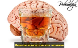 Восстановление мозга и нервной системы после алкоголя