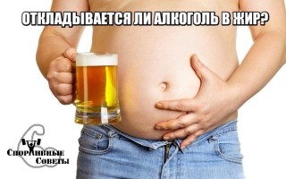 Откладывается ли алкоголь в жир?