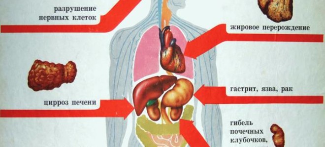 В чём заключается губительное влияние алкоголя на организм?