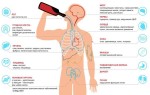 Влияние алкоголя на нервную систему человека