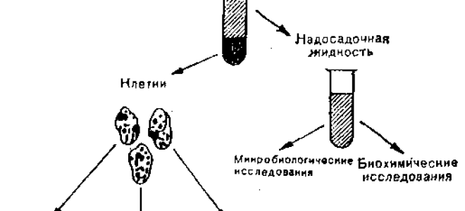 Влияние курения на молекулу ДНК (наследственность). Мутагены табачного дыма