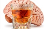 Влияние алкоголя на мозг человека
