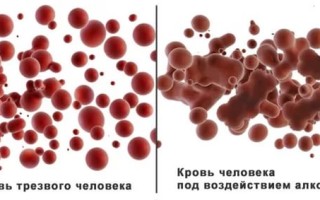 Влияние алкоголя на кровь