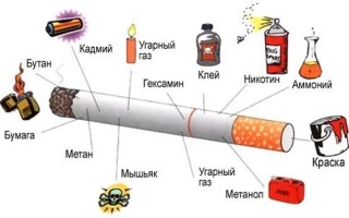 Вредные привычки (употребление алкоголя, курения, наркомания) их профилактика